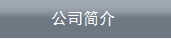 公司简介